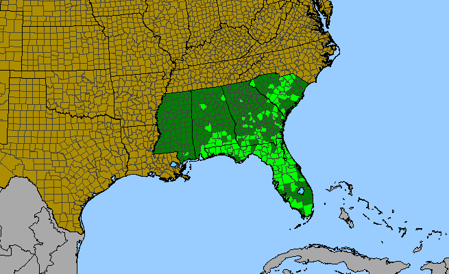 The range of Liatris tenuifolia